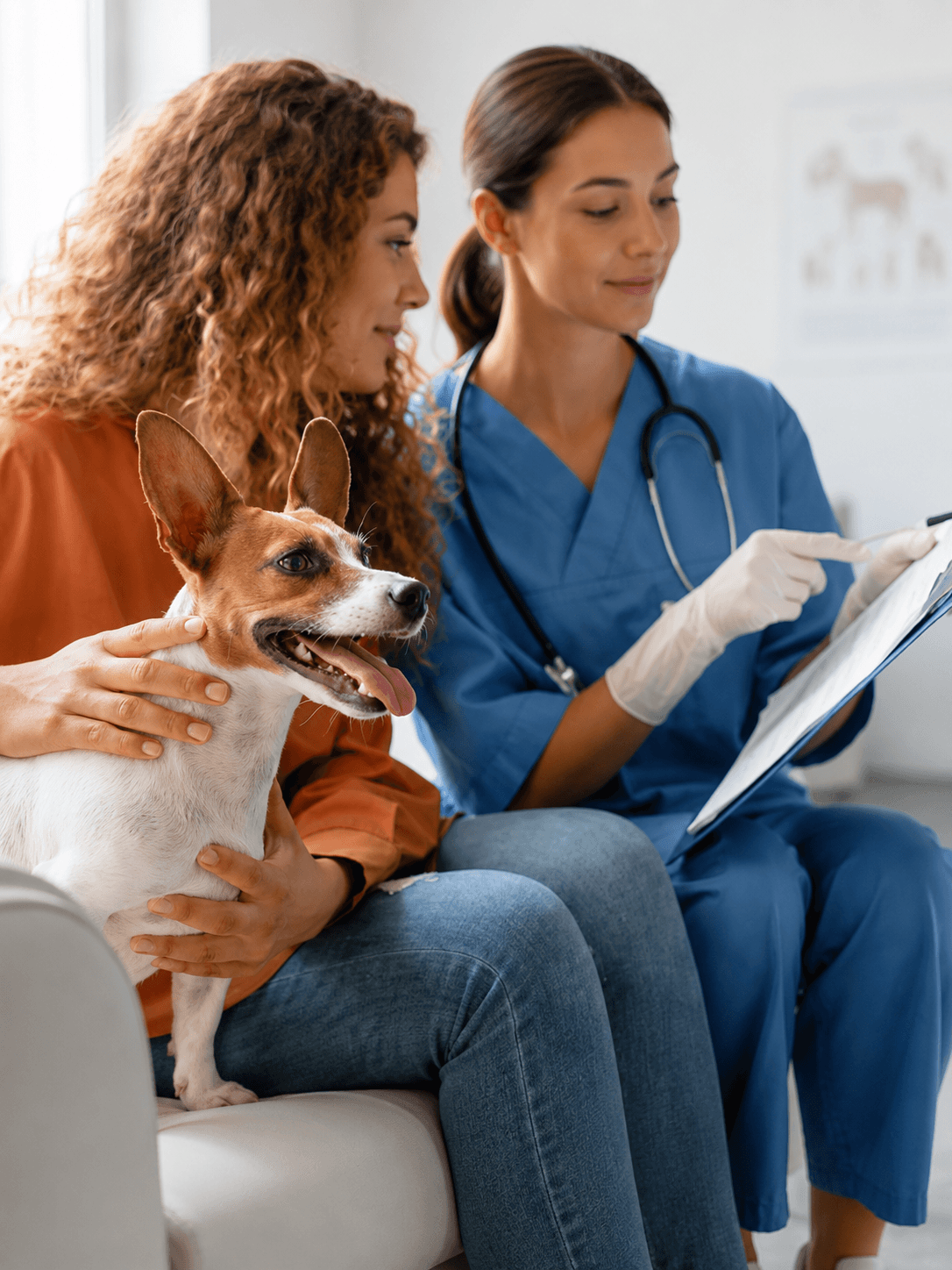 Linha Veterinária MedicalLife